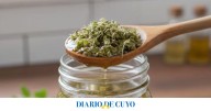 Mezclar orégano y vinagre de manzana: el uso que pocos conocen y sus principales beneficios