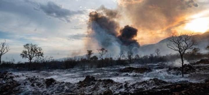 PROMOVIERON ACCIÓN PENAL PARA DETERMINAR A LOS RESPONSABLES DE LOS INCENDIOS