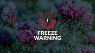 Freeze warning issued for Pima County