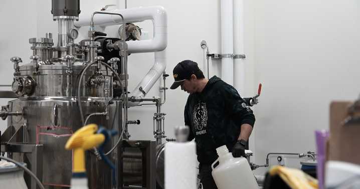 Colorado cannabis industry anticipates potential federal reclassification under Trump