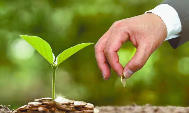 México vive una triple crisis ambiental y los impuestos verdes pueden contribuir a mitigarla: Alianza por la Justicia Fiscal