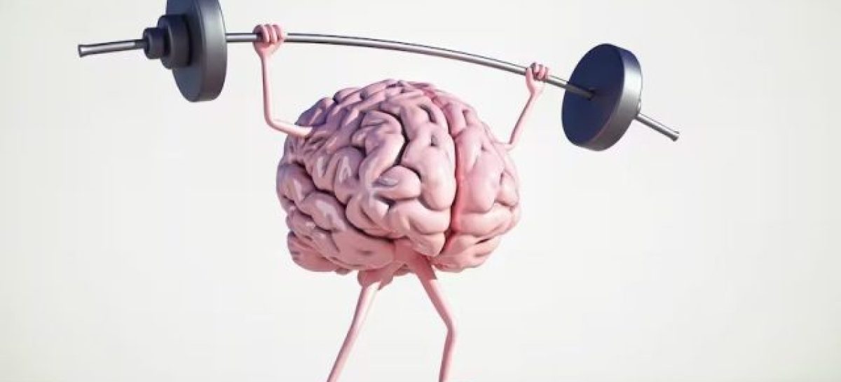 CIENTÍFICOS DEL CONICET CREARON SITIO WEB GRATUITO PARA ENTRENAR EL CEREBRO