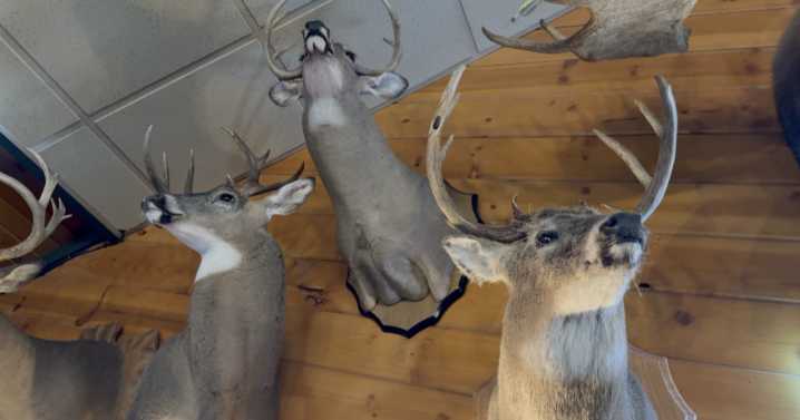 Hunters miss camaraderie as digital tagging changes deer season