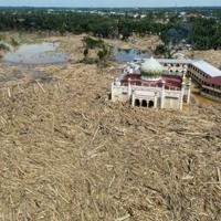 Warmer seas, heavier rains drove Asia floods: scientists