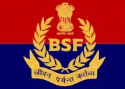BSF apprehends smuggler along India-B’desh border; seizes gold valued at over Rs 5.47 crore