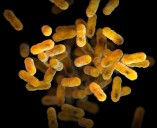 Oregon sets record for whooping cough cases amid declining vaccination rates