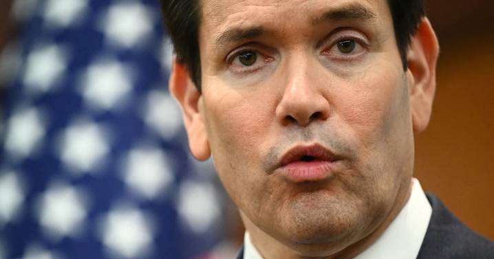 Designer Laughs at Little Marco’s Meltdown Over His ‘Woke’ Typeface