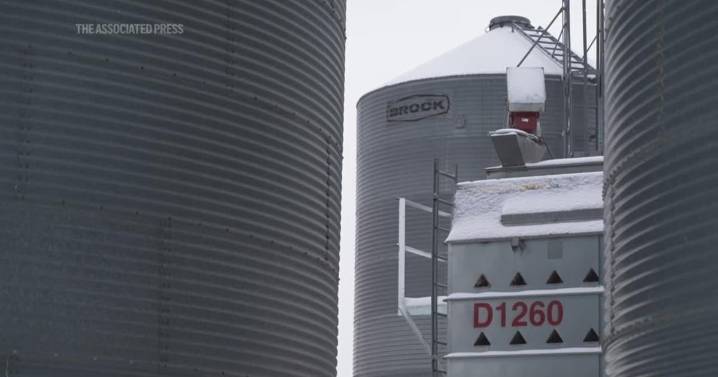 Soybean farmer welcomes Trump aid, hopes for freer markets