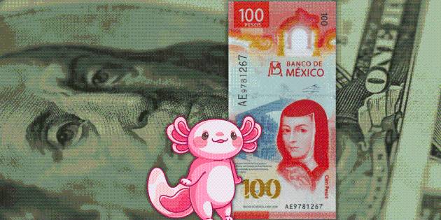 Peso apaleado por el dólar; así amanece el tipo de cambio HOY