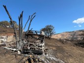 Rowena wildfire debris clean-up finally gets funding, 3 months after Oregon governor’s promise