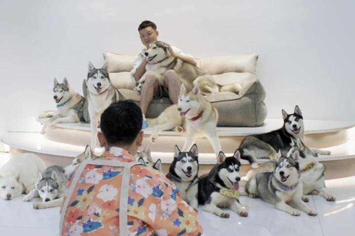 What Happens to China’s Surplus Men?