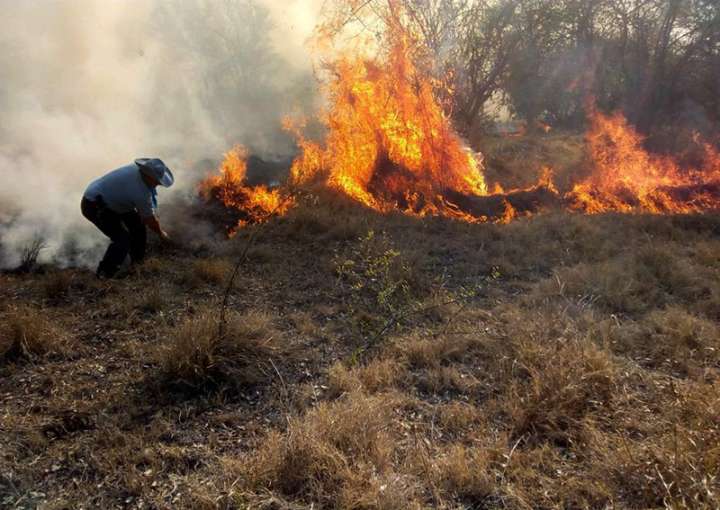 Manejo del fuego: establecen por ley las normas y procedimientos frente a los incendios forestales y rurales