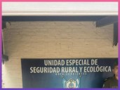 GOYA: Entre Malezas Y Barro, Hallaron Oculta Una Moto Robada