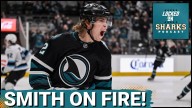 PLAYOFFS?!: San Jose Sharks Surge as Will Smith and Tyler Toffoli IGNITE Chase