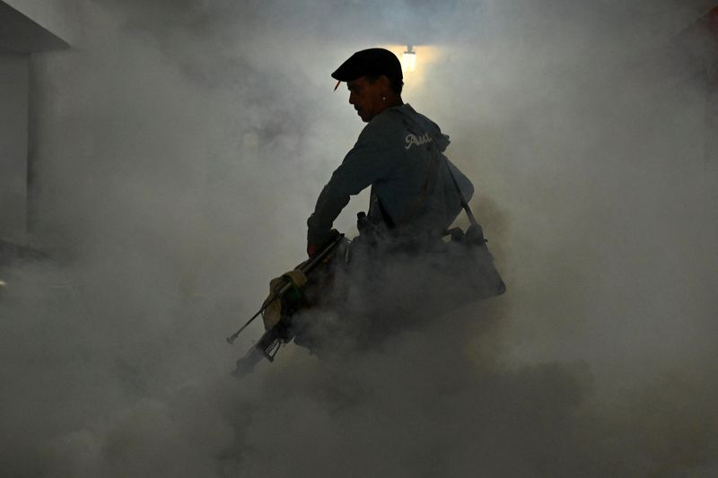 Cuba says 33 have died of mosquito-borne illnesses as epidemic rages