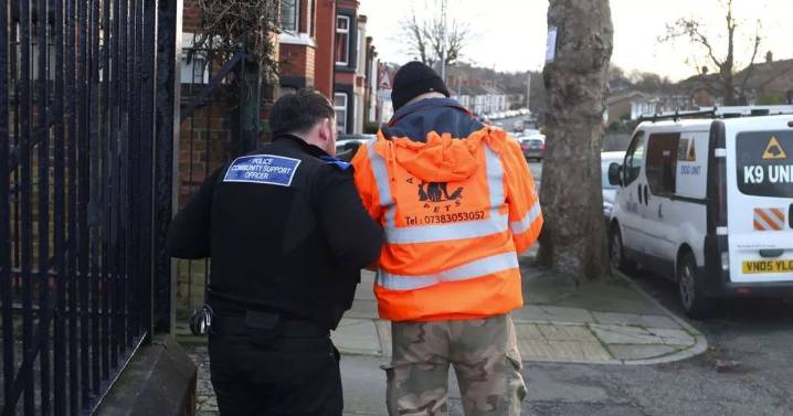 Police called as owl causes stir in community: everything you need to know