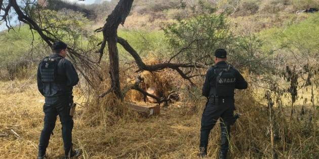Hallan armas abandonadas en Techaluta; presumen que son las robadas a policías