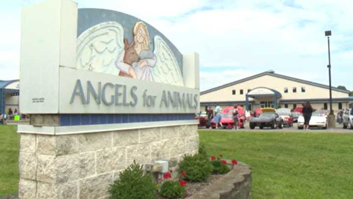 Angels for Animals to host 24th annual antique sale