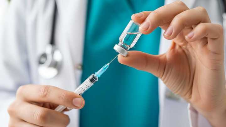 Alarma los casos de fiebre amarilla en América Latina: qué viajeros deben vacunarse