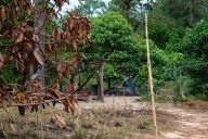 Niños de Los Pinos dejaron de estudiar por miedo a ser atacados de camino a la escuela