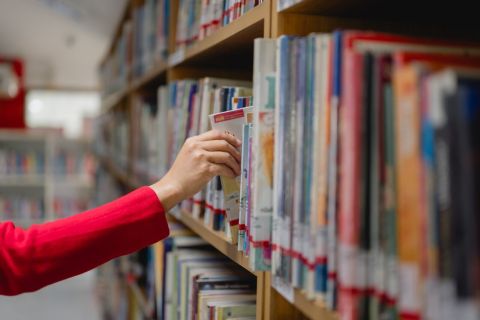 Michigan rural libraries brace for hit from Trump order targeting spending