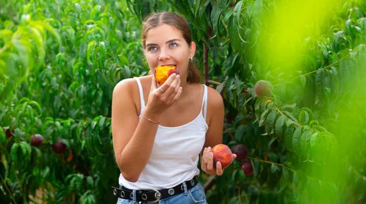 Eating This Low-Carb Summer Fruit May Also Prevent Cancer