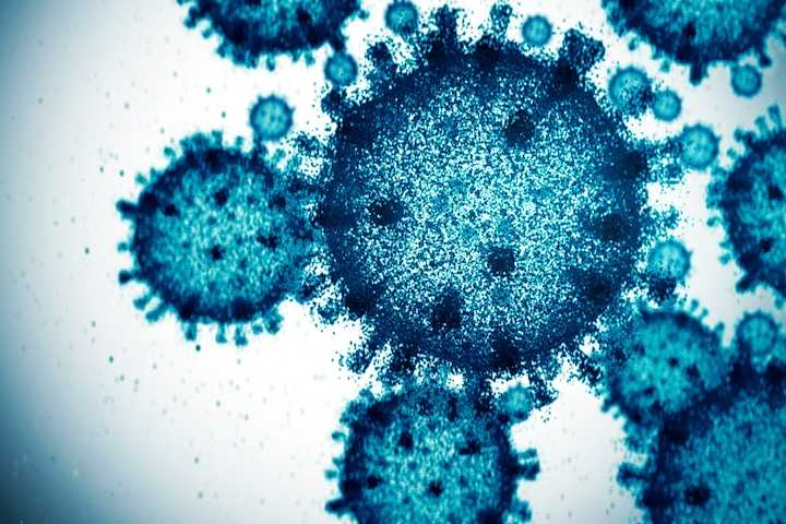 More Accurate Virus Detection Delivered by Bioluminescence