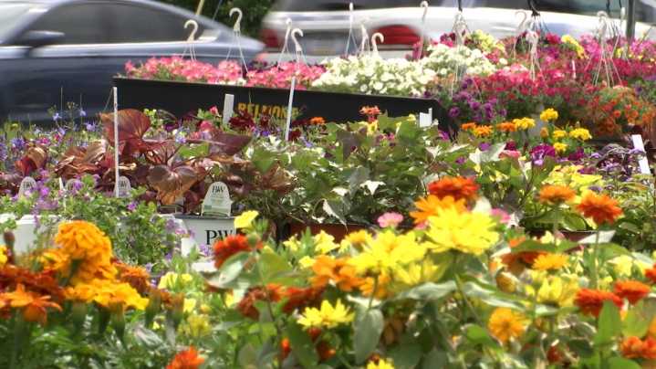 Local joint Community Garden kicks off planting
