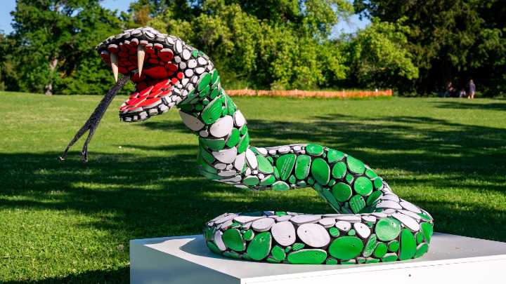 Giant snake statues in Geneva had a noble mission : Goats and Soda : NPR