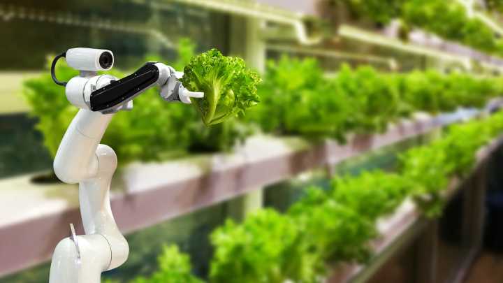 El Instituto Trager de la UofL abre una cocina de medicina culinaria