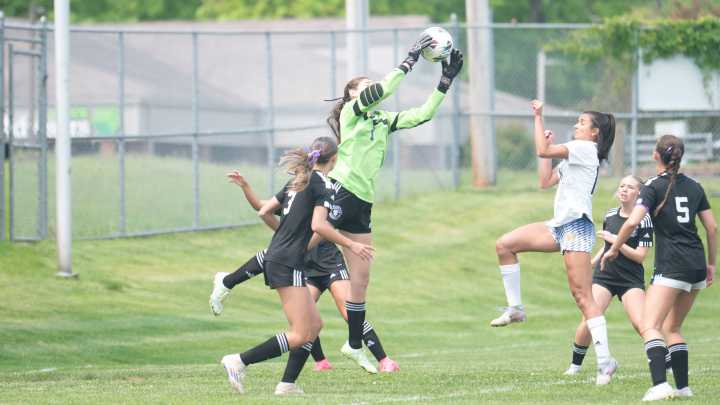 How did Lakeview, Gull Lake do in girls soccer district championships?