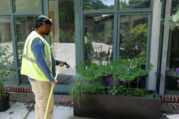“Branches to Chances” program has helped 100 people turn a new leaf