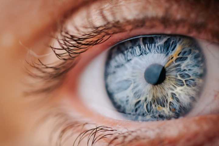 Researchers Gain Insight into Eye Side Effects of Blenrep