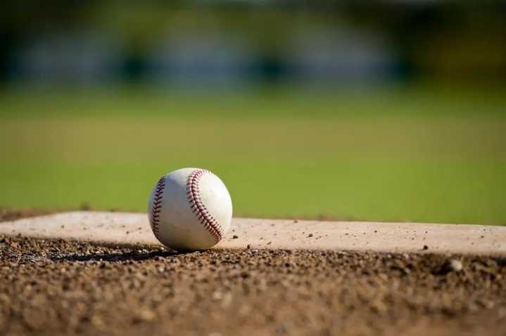 Final Michigan statewide baseball rankings from the MHSBCA