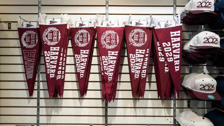 Harvard students are ‘frantic’ after Trump administration blocks international enrollment, college consultant says