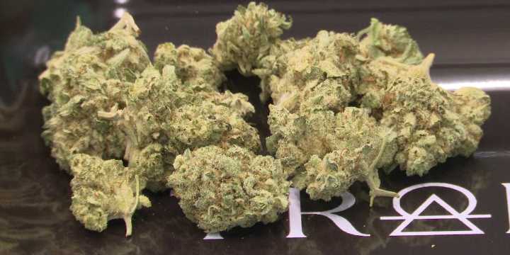 Niles Township sees boost in marijuana shop applications