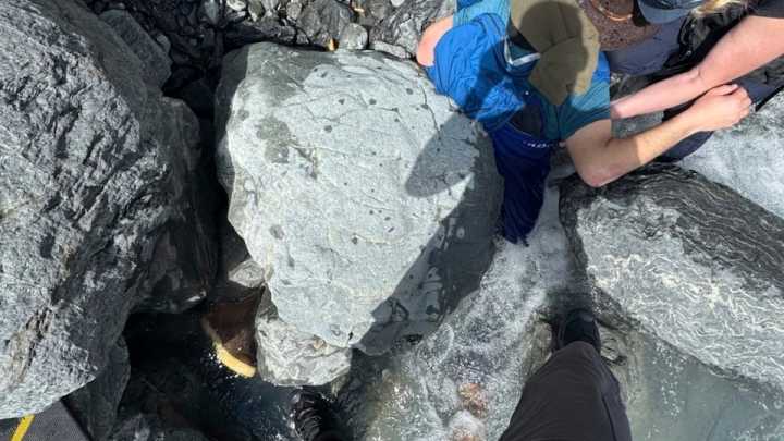 770lb boulder pins Alaska man face-down in glacier creek – NBC Boston