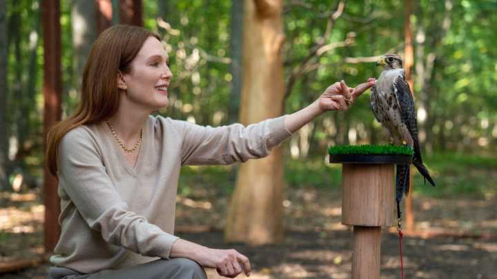 Sirens: entertaining satire on the lives of the ultra-wealthy stars Julianne Moore