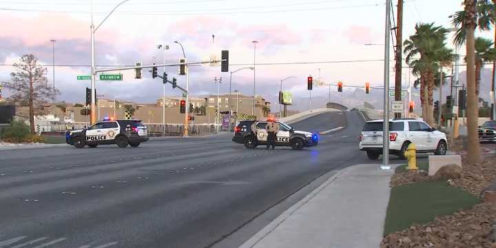Tesla driver arrested nearly a month after deadly Las Vegas hit