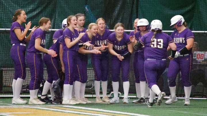 Eight area high school softball teams set to play for state