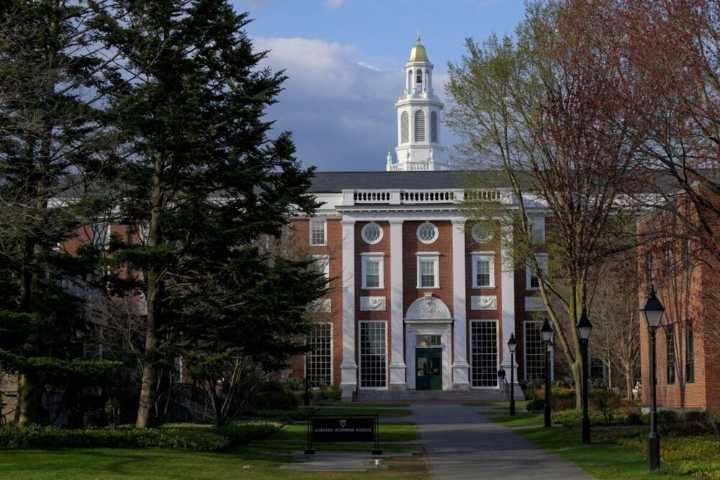 EEUU Frenan la orden de Trump contra las matriculaciones de Harvard Europa Press