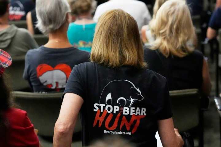 Florida Wildlife Commission moves forward with controversial black bear hunt amid strong opposition