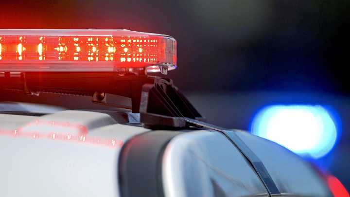 Deputies fatally shoot Florida man who survived apparent gator attack and tried to steal their gun