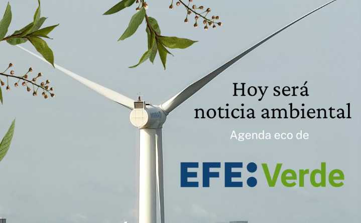 Hoy será noticia ambiental… #AgendaAmbiental de EFEverde / 2 de septiembre