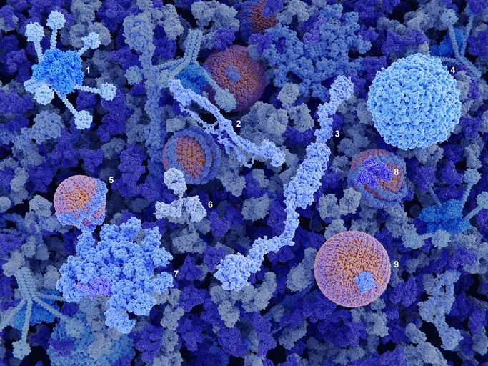 Pan-Cancer Proteome Atlas Catalogs 999 Primary Tumors, Available Worldwide