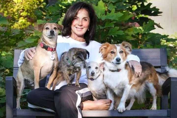 Woman with Breast Cancer Rescuing Stray Dogs in Puerto Rico (Exclusive)