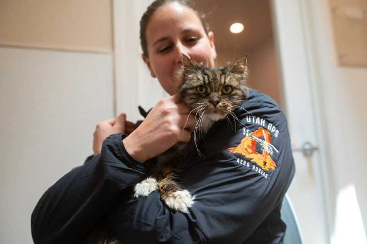 Cat Who Survived 380-Foot Fall that Killed Her Owners Finds New Home
