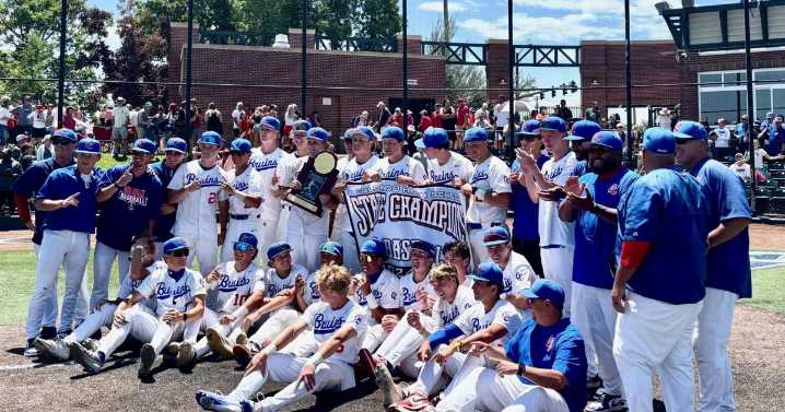 Holy backflip! Bruin Bros. celebrate baseball championship