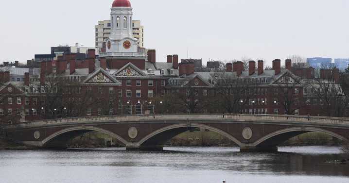 Cómo afectará la medida del gobierno de Trump a los estudiantes internacionales de Harvard
