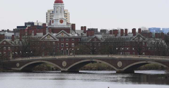 Mayoría en EEUU desaprueba trato de Trump a universidades, según encuesta AP